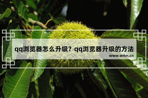 qq浏览器怎么升级？qq浏览器升级的方法分享