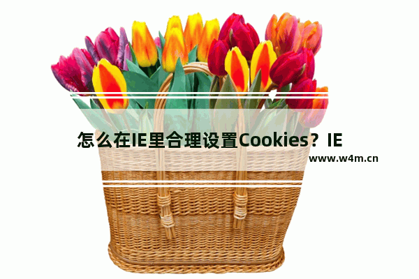 怎么在IE里合理设置Cookies？IE里合理设置Cookies的方法分享