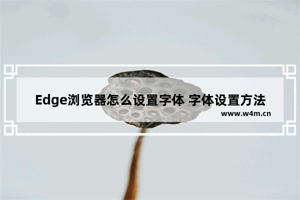 Edge浏览器怎么设置字体 字体设置方法一览