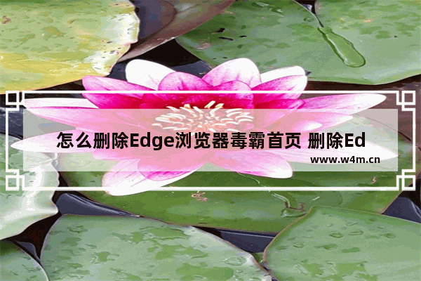 怎么删除Edge浏览器毒霸首页 删除Edge浏览器毒霸首页方法全览