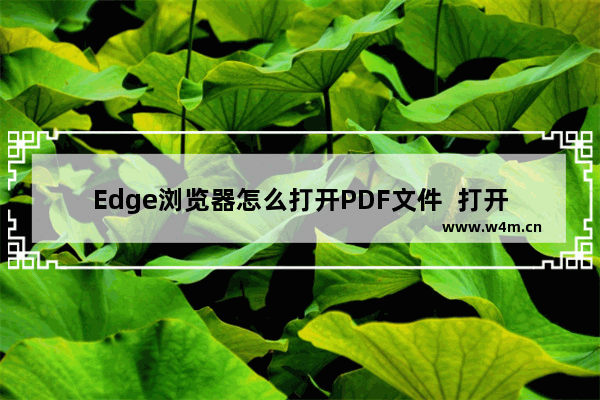 Edge浏览器怎么打开PDF文件  打开PDF文件方法介绍