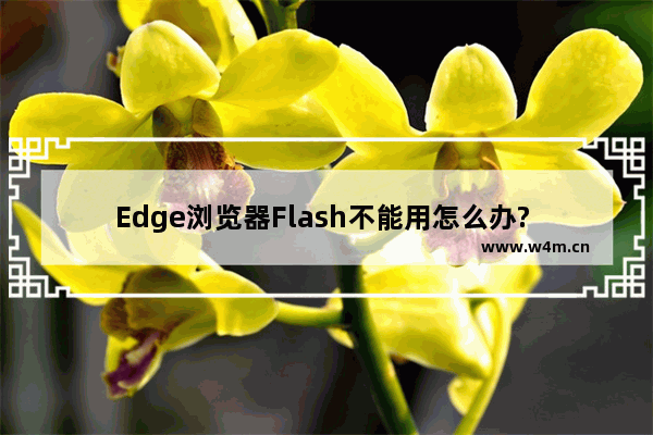 Edge浏览器Flash不能用怎么办? Flash不能用解决方法一览