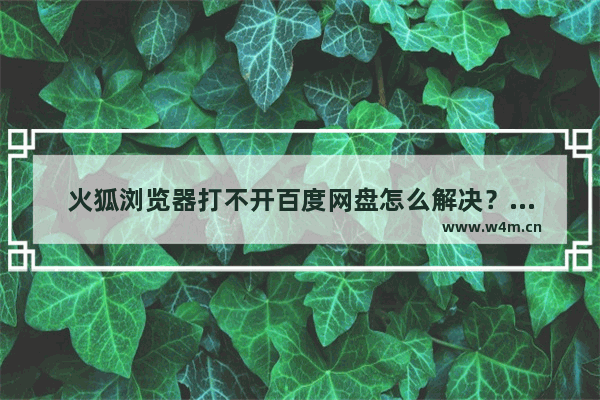 火狐浏览器打不开百度网盘怎么解决？解决不开百度网盘的方法说明