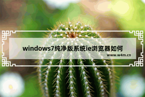 windows7纯净版系统ie浏览器如何设置主页为空白页？设置主页为空白页的方法说明