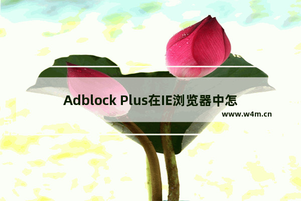 Adblock Plus在IE浏览器中怎么设置？Adblock Plus在IE浏览器中设置方法介绍