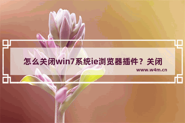 怎么关闭win7系统ie浏览器插件？关闭win7系统ie浏览器插件的方法介绍