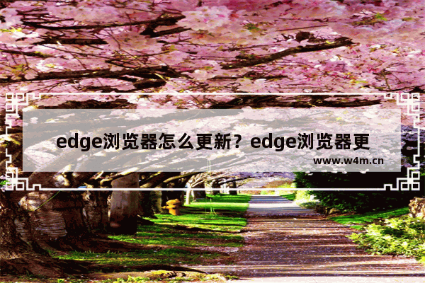 edge浏览器怎么更新？edge浏览器更新方式介绍