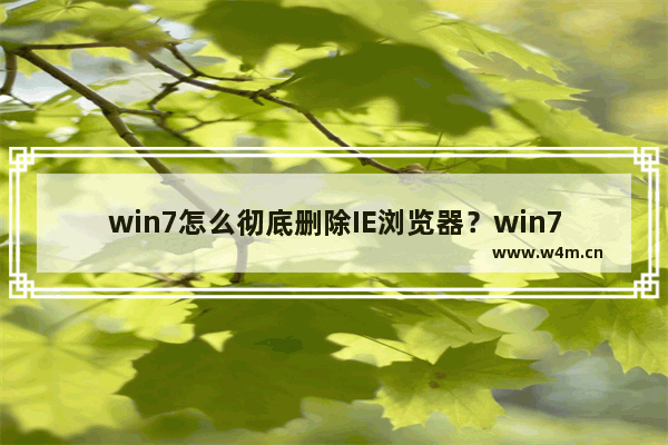 win7怎么彻底删除IE浏览器？win7彻底删除IE浏览器的方法说明