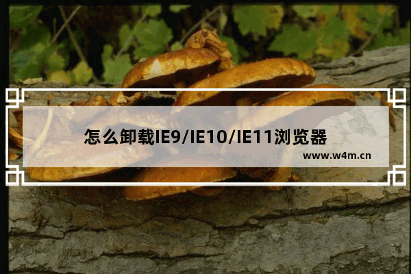 怎么卸载IE9/IE10/IE11浏览器？卸载IE9/IE10/IE11浏览器方法分享