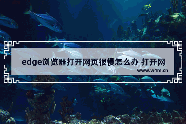 edge浏览器打开网页很慢怎么办 打开网页很慢处理方法一览