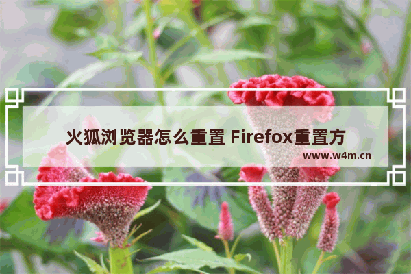 火狐浏览器怎么重置 Firefox重置方式一览