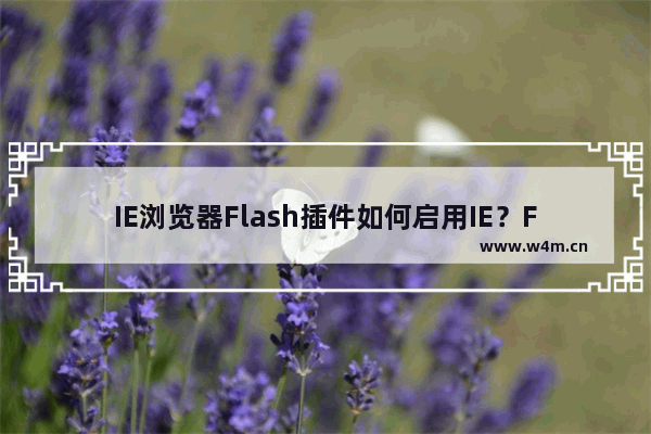 IE浏览器Flash插件如何启用IE？Flash设置位置分享