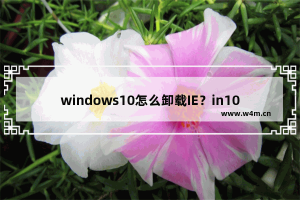 windows10怎么卸载IE？in10卸载IE的操作方法讲解W