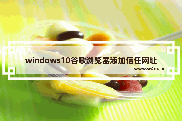 windows10谷歌浏览器添加信任网址 添加信任网址方法全览