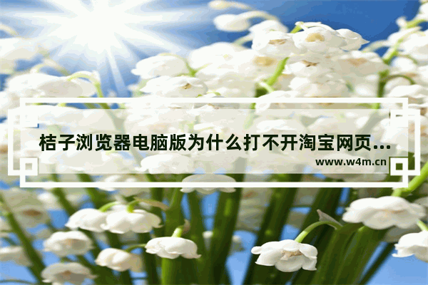 桔子浏览器电脑版为什么打不开淘宝网页？淘宝网页打不开解决方法一览