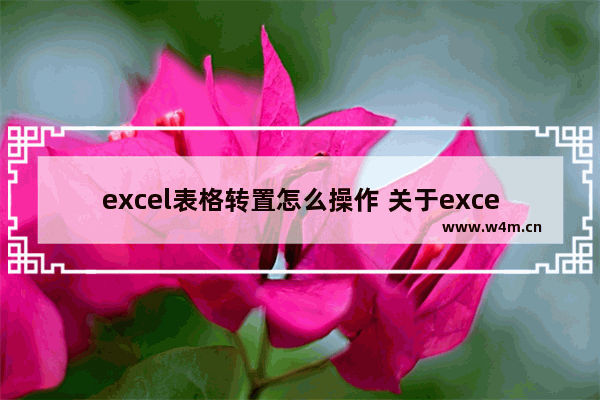 excel表格转置怎么操作 关于excel把横排数据变竖排的方法