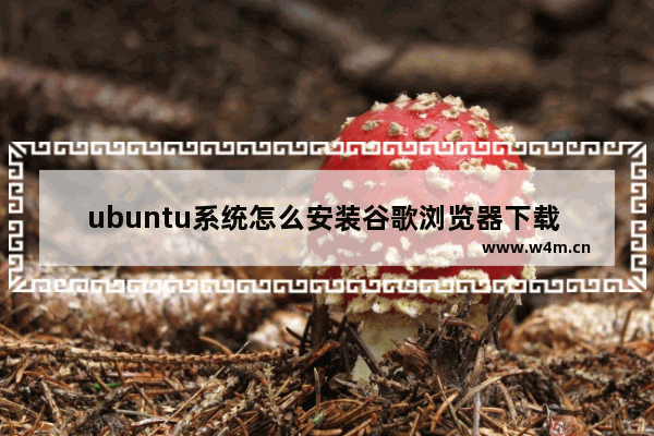 ubuntu系统怎么安装谷歌浏览器下载 安装谷歌浏览器下载方法介绍