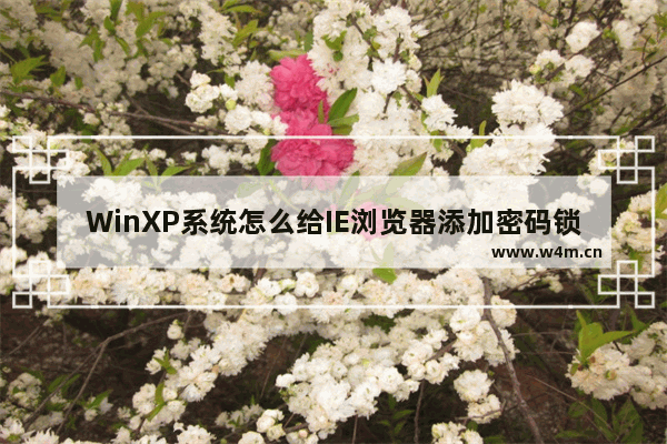 WinXP系统怎么给IE浏览器添加密码锁？给IE浏览器添加密码锁的方法分享