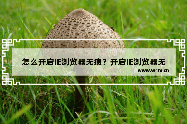 怎么开启IE浏览器无痕？开启IE浏览器无痕说明