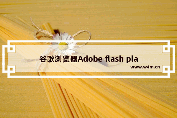 谷歌浏览器Adobe flash player已过期解决方式一览