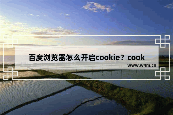 百度浏览器怎么开启cookie？cookie开启流程分享