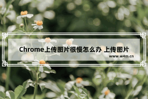 Chrome上传图片很慢怎么办 上传图片慢的解决方式一览