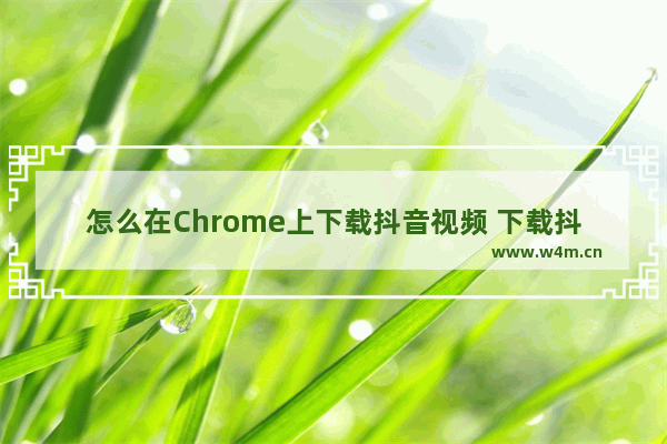 怎么在Chrome上下载抖音视频 下载抖音视频方法介绍