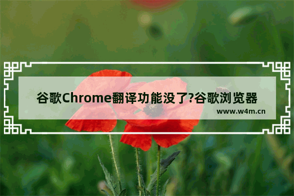 谷歌Chrome翻译功能没了?谷歌浏览器翻译功能介绍