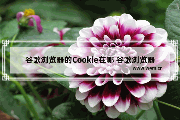 谷歌浏览器的Cookie在哪 谷歌浏览器Cookie位置分享