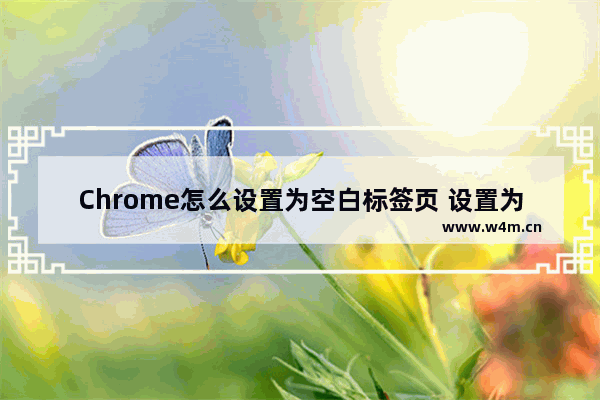 Chrome怎么设置为空白标签页 设置为空白标签页方式一览