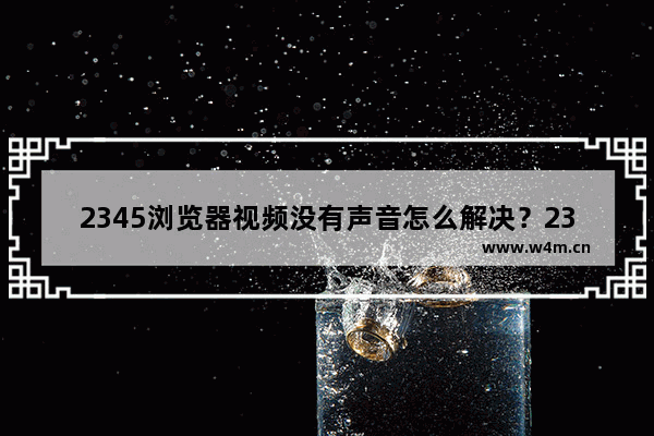 2345浏览器视频没有声音怎么解决？2345浏览器视频没有声音解决方法说明