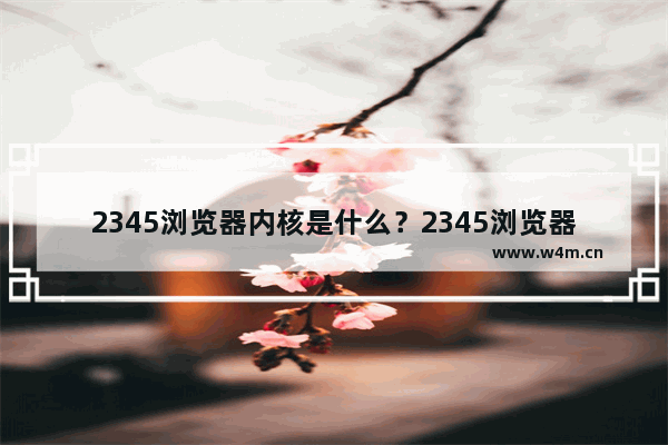 2345浏览器内核是什么？2345浏览器内核详情介绍