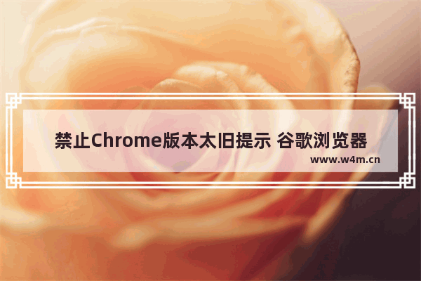 禁止Chrome版本太旧提示 谷歌浏览器禁止版本太旧提示方法一览