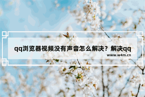 qq浏览器视频没有声音怎么解决？解决qq浏览器视频没有声音的方法分享