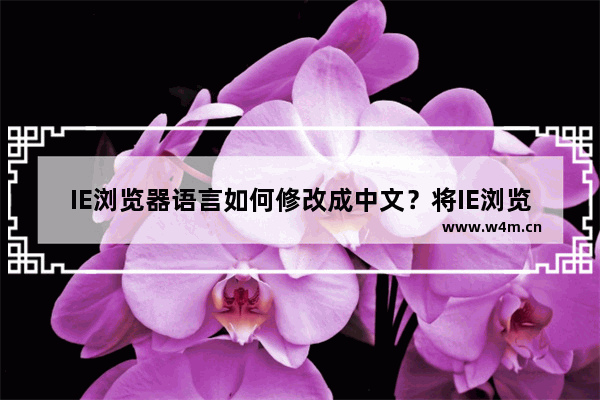 IE浏览器语言如何修改成中文？将IE浏览器语言修改成中文的方法说明