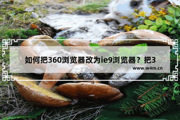 如何把360浏览器改为ie9浏览器？把360浏览器改为ie9浏览器的方法介绍