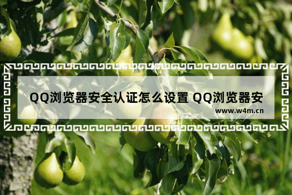 QQ浏览器安全认证怎么设置 QQ浏览器安全认证设置方法解析