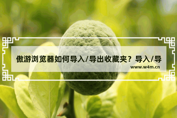 傲游浏览器如何导入/导出收藏夹？导入/导出收藏夹步骤分享