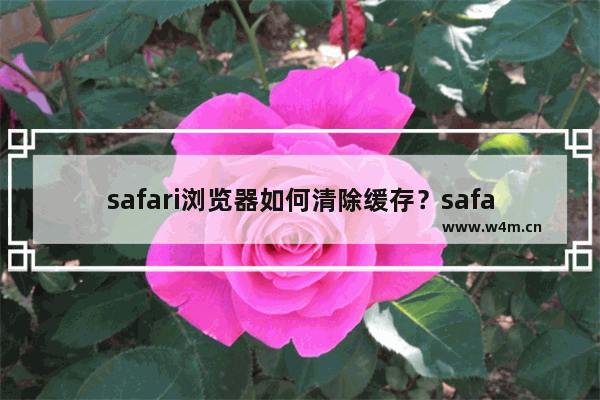 safari浏览器如何清除缓存？safari浏览器清除缓方法分享