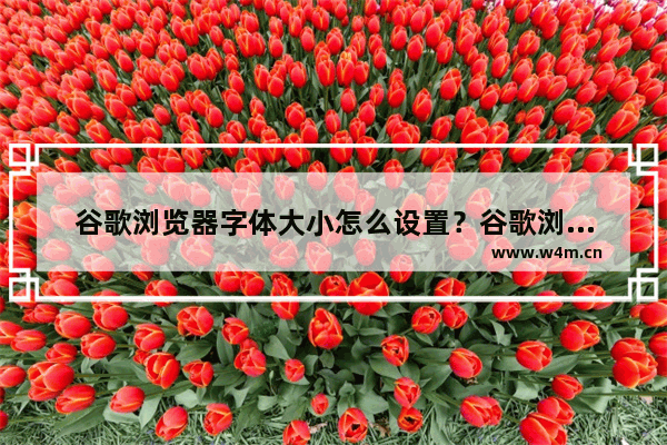 谷歌浏览器字体大小怎么设置？谷歌浏览器字体大小设置方法介绍