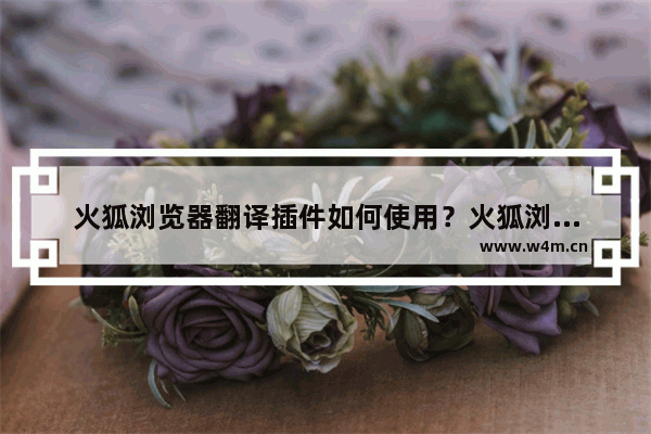 火狐浏览器翻译插件如何使用？火狐浏览器翻译插件使用方法说明