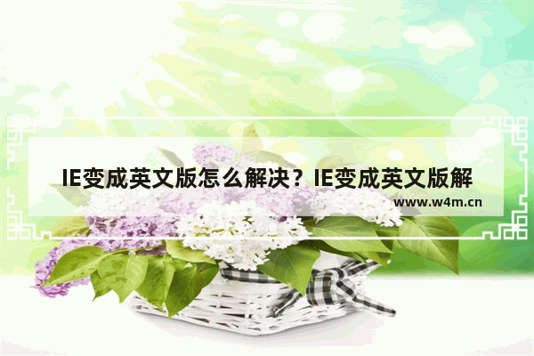 IE变成英文版怎么解决？IE变成英文版解决方法说明