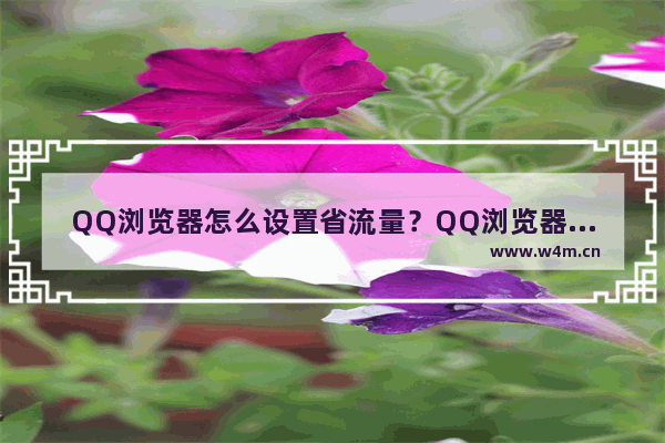 QQ浏览器怎么设置省流量？QQ浏览器省流量方法解析