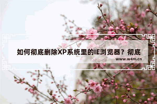 如何彻底删除XP系统里的IE浏览器？彻底删除XP系统里的IE浏览器的方法介绍