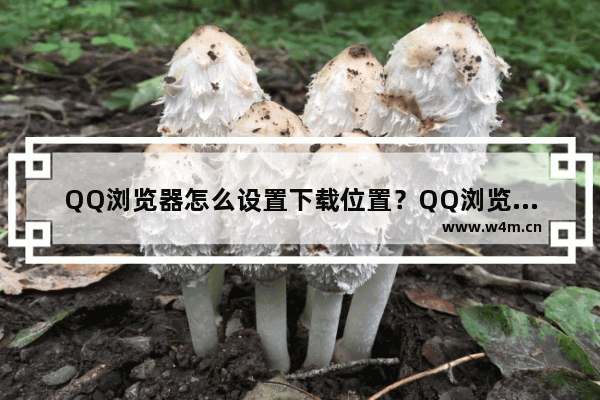 QQ浏览器怎么设置下载位置？QQ浏览器设置下载位置步骤一览