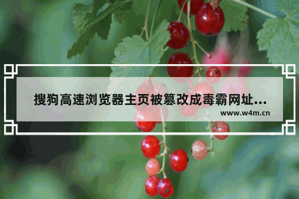 搜狗高速浏览器主页被篡改成毒霸网址导航怎么解决？解决主页被篡改成毒霸网址导航的方法说明