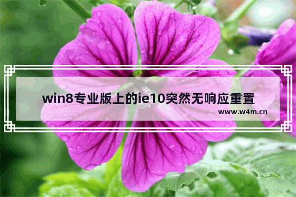 win8专业版上的ie10突然无响应重置ie显示重置用户自定义失败点击为什么重置失败就无任何反应怎么解决？解决方法分享