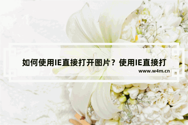 如何使用IE直接打开图片？使用IE直接打开图片的方法介绍