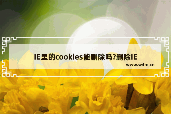 IE里的cookies能删除吗?删除IE里的cookies步骤分享