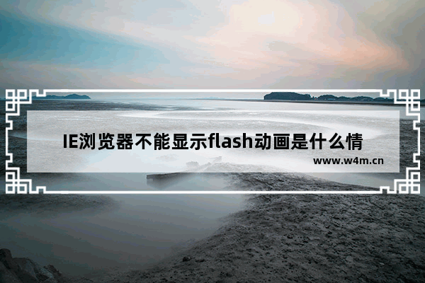 IE浏览器不能显示flash动画是什么情况？解决IE浏览器不能显示flash动画方法分享